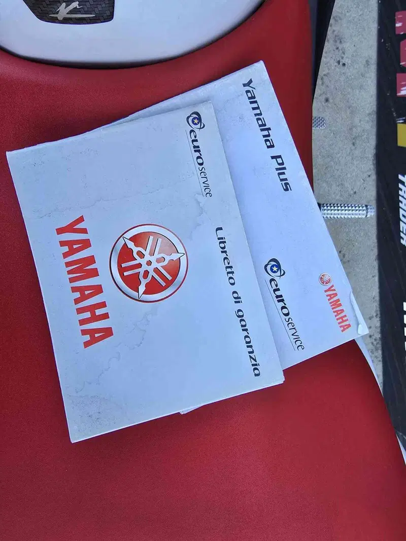 Yamaha YZF R6 (2006 - 07) (25)