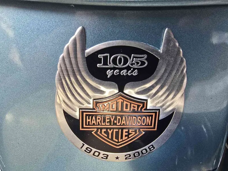 Harley-Davidson 1584 Electra Glide Ultra Classic (2007) - FLHTCU (27)