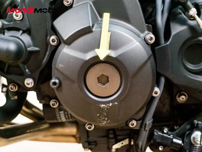 Yamaha MT-09 (2013 - 15) (15)