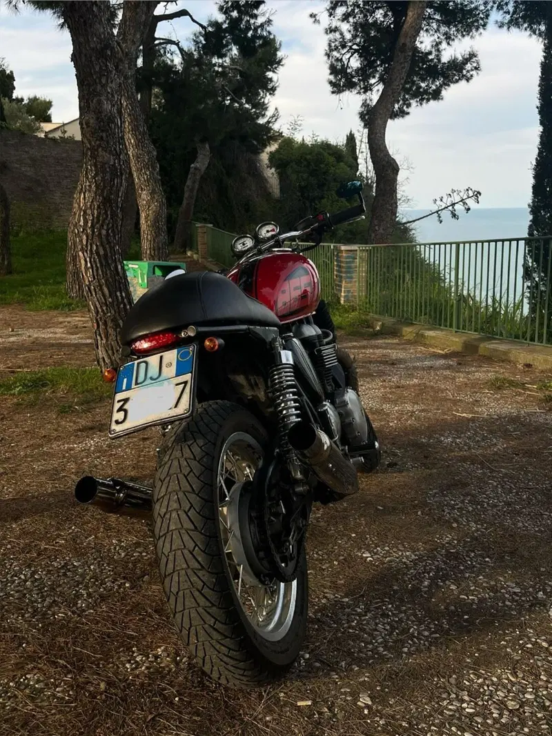 Triumph Thruxton 900 (2004 - 15) (5)