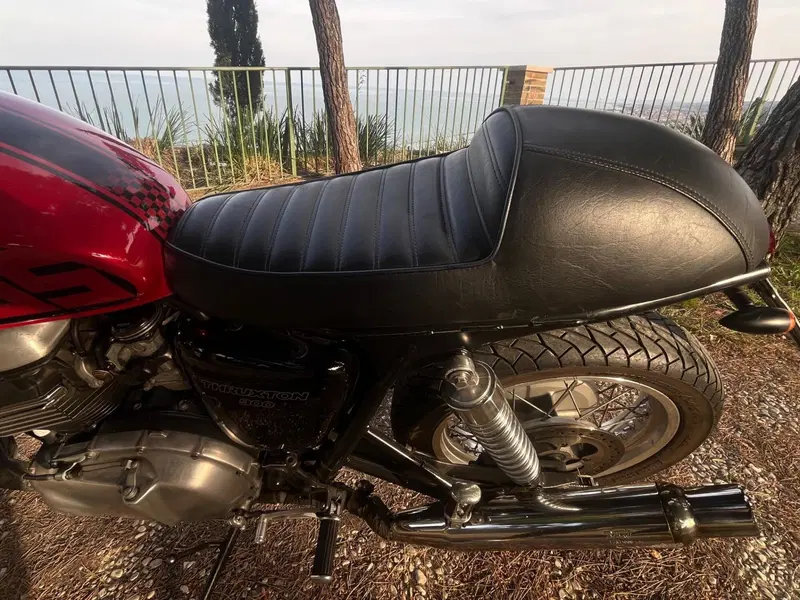 Triumph Thruxton 900 (2004 - 15) (10)