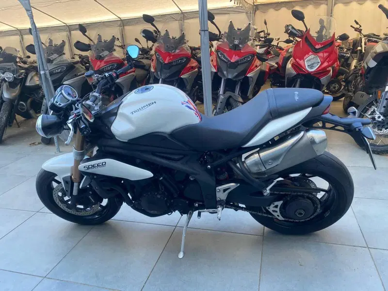 Triumph Speed Triple 1050 (2005 - 11) (2)