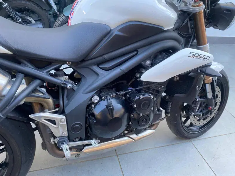 Triumph Speed Triple 1050 (2005 - 11) (10)