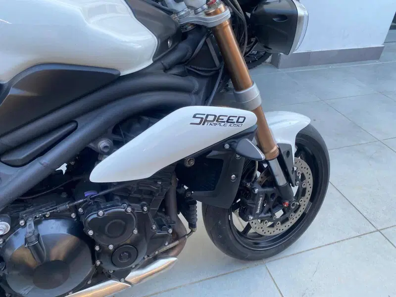 Triumph Speed Triple 1050 (2005 - 11) (6)