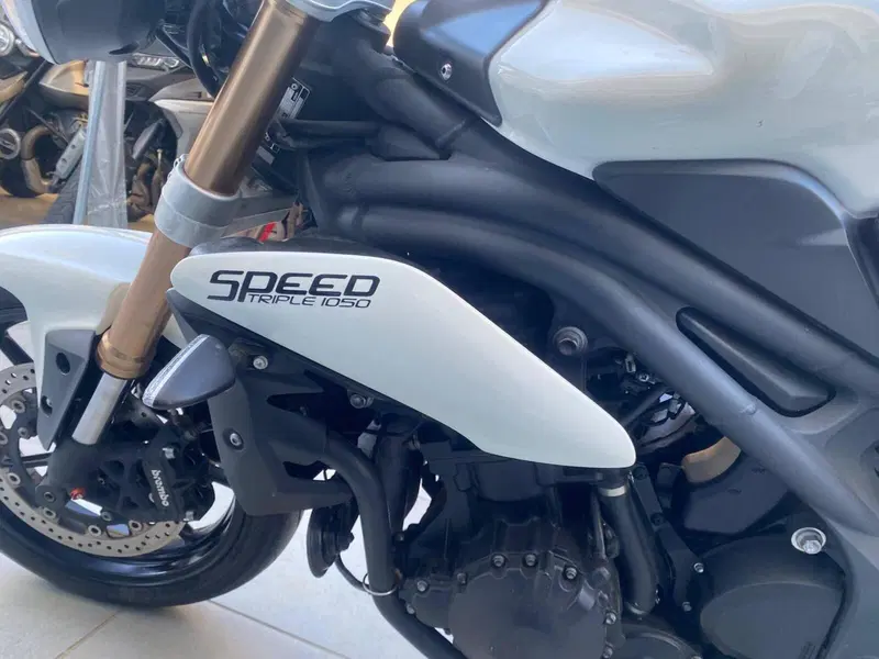 Triumph Speed Triple 1050 (2005 - 11) (11)