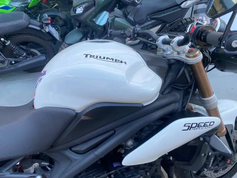 Triumph Speed Triple 1050 (2005 - 11) (12)
