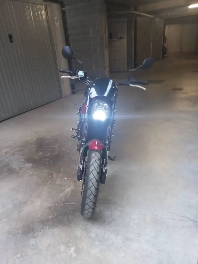 Benelli Leoncino 500 Trail ABS (2017 - 20) (7)