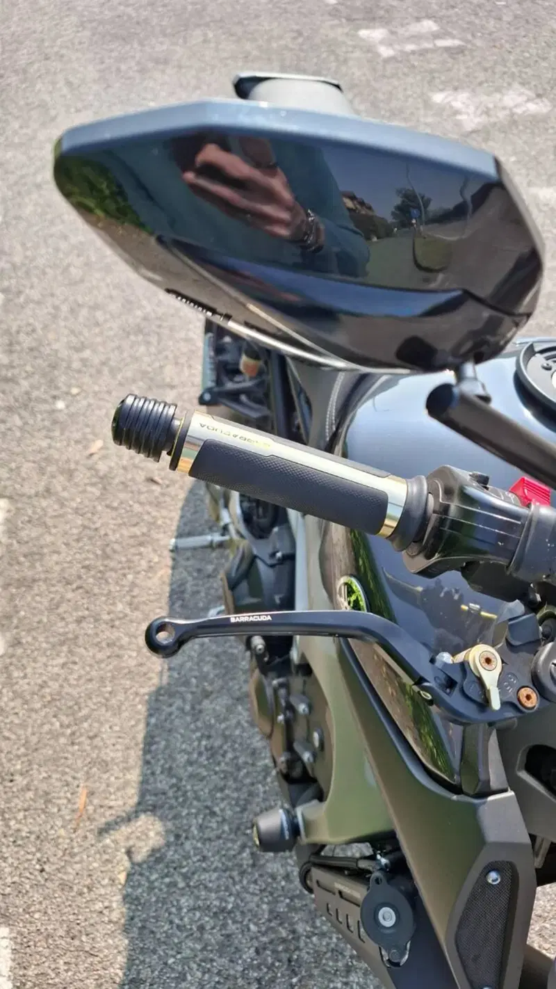 Yamaha MT-09 ABS (2013 - 15) (4)