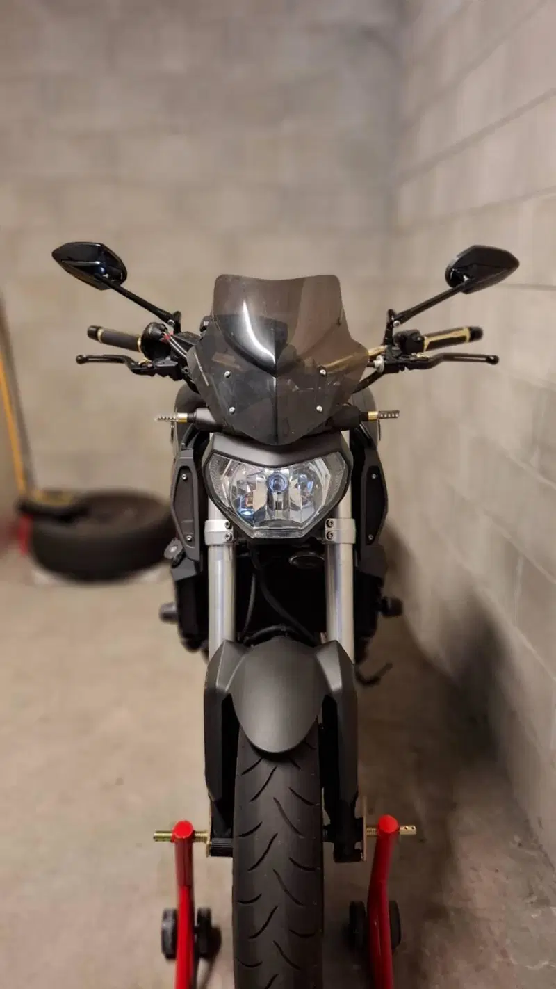 Yamaha MT-09 ABS (2013 - 15) (14)
