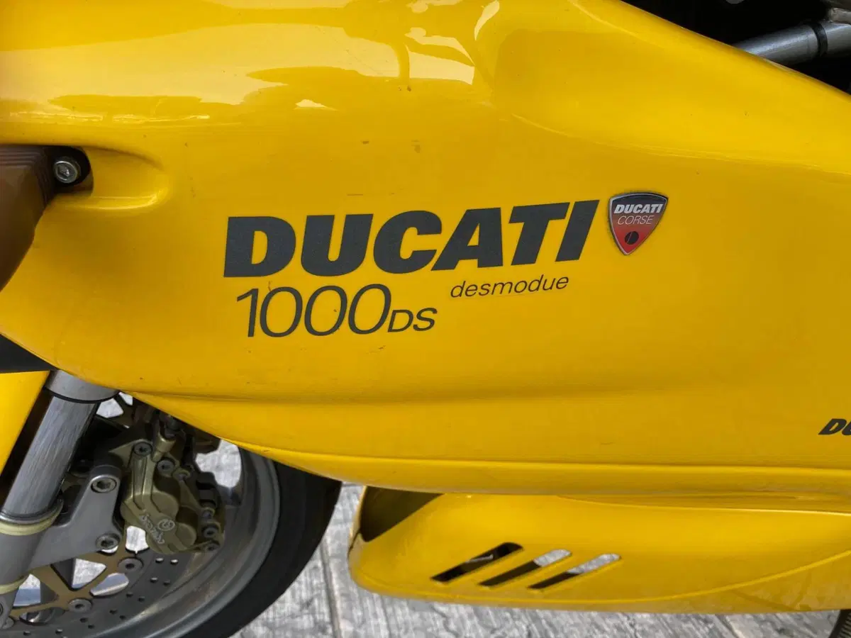 Ducati SS 1000 (2003 -06) (8)