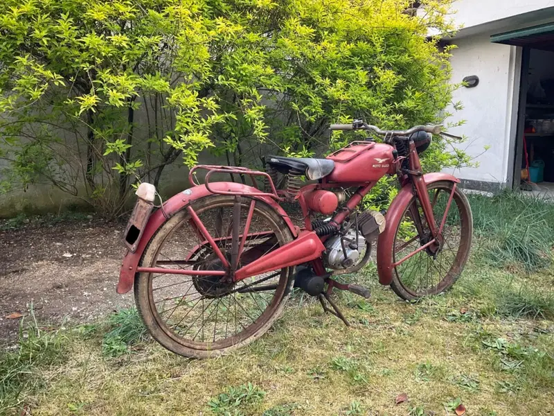 Moto Guzzi Guzzino 65 (5)