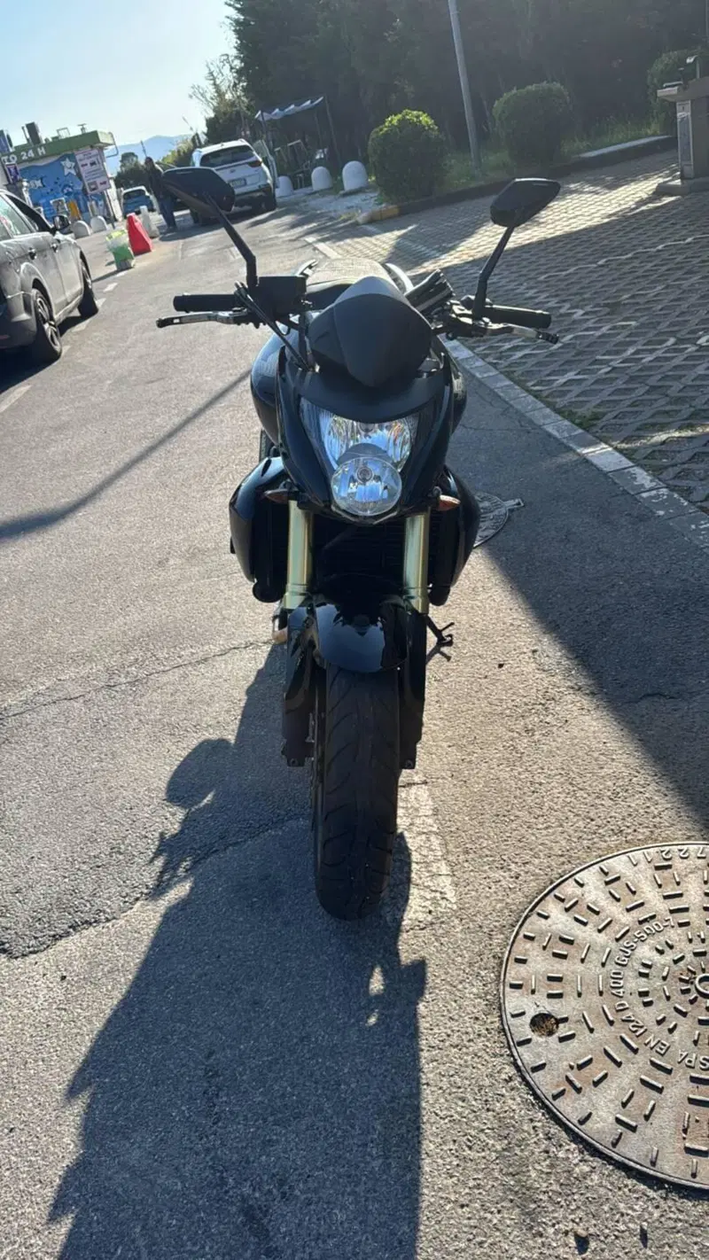Honda Hornet 600 (2007 - 10) (3)