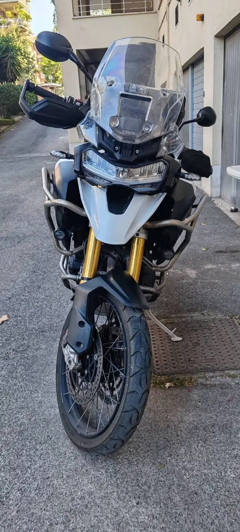 Triumph Tiger 1200 Rally Pro (2022 - 23) (3)