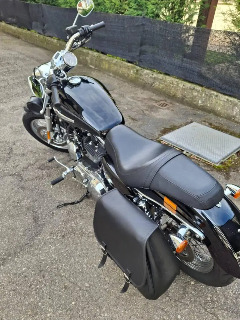 Harley-Davidson 1200 Custom (2007 - 13) - XL 1200C (2)