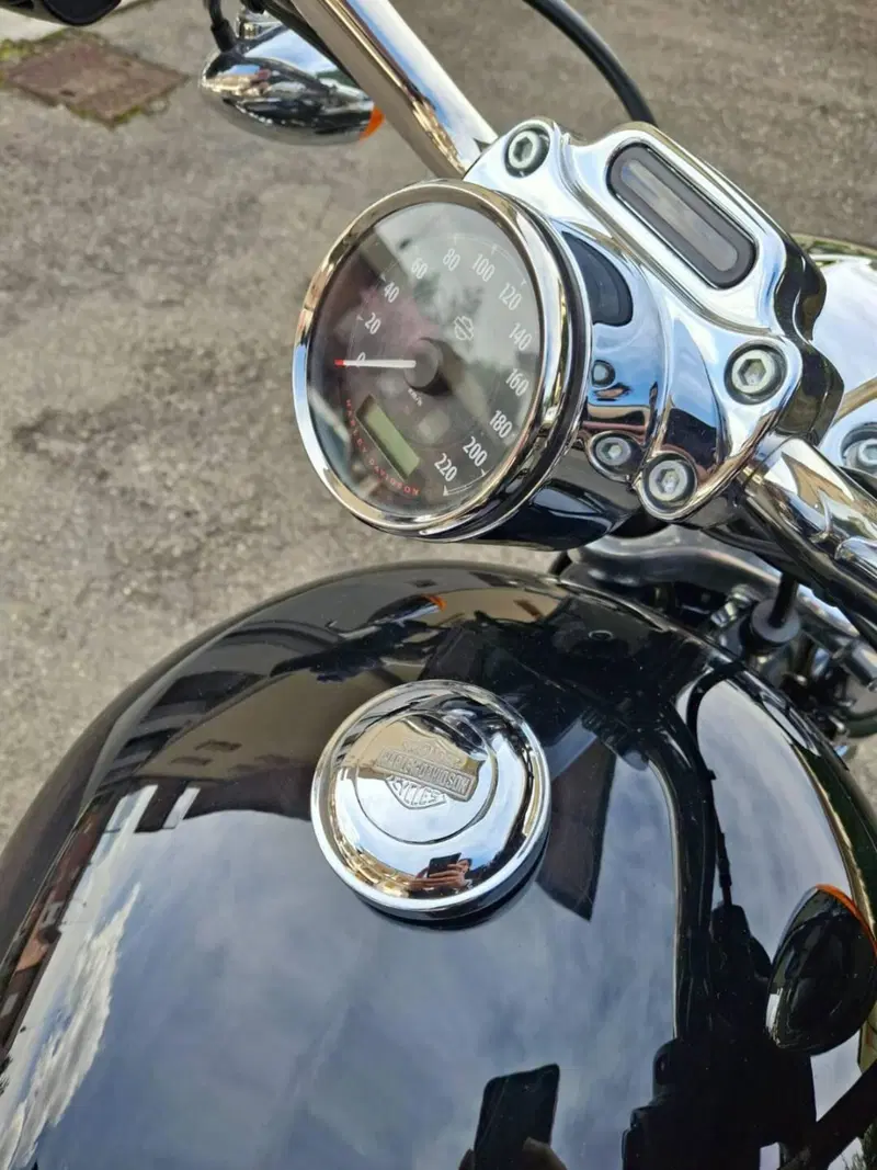 Harley-Davidson 1200 Custom (2007 - 13) - XL 1200C (6)