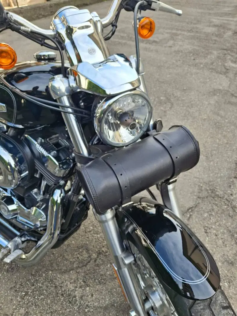 Harley-Davidson 1200 Custom (2007 - 13) - XL 1200C (10)