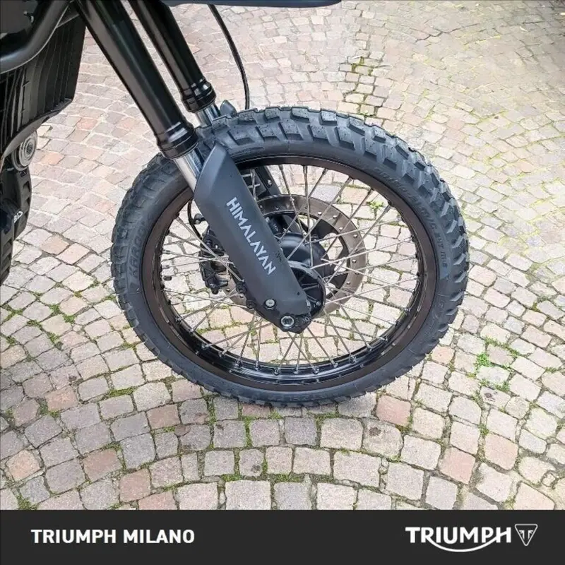 Royal Enfield Himalayan 450 (2024 - 26) (14)