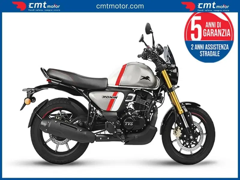 TVS Motor Ronin 250 (2024 - 26) (2)