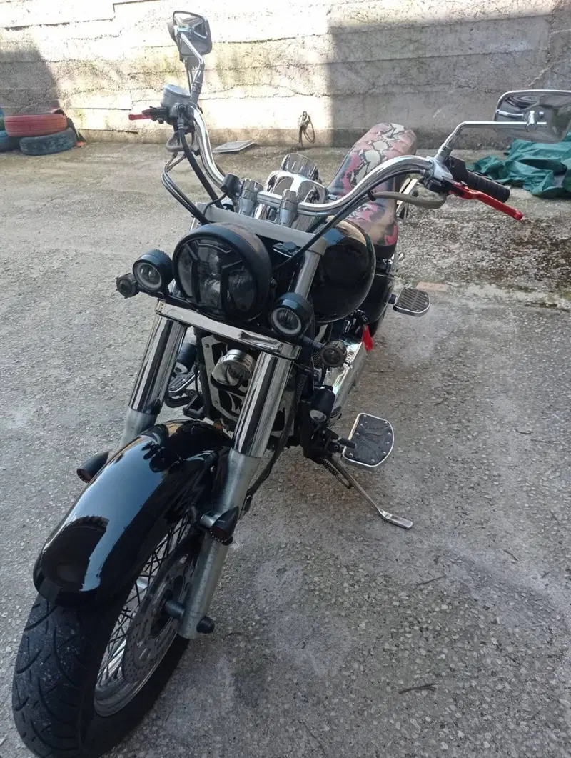 Kawasaki VN 800 Classic (1996 - 00) (10)