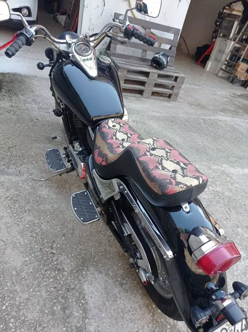 Kawasaki VN 800 Classic (1996 - 00) (11)