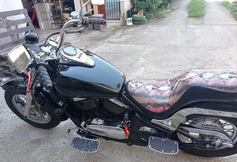 Kawasaki VN 800 Classic (1996 - 00) (12)