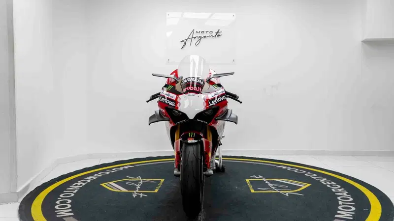 Ducati Panigale V4 R 1000 (2019 - 20) (8)