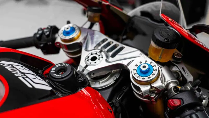 Ducati Panigale V4 R 1000 (2019 - 20) (11)