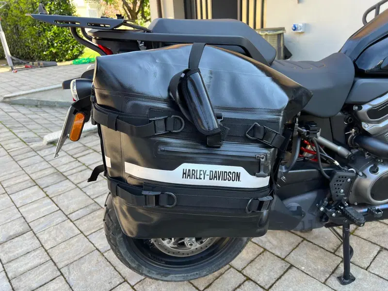 Harley-Davidson Pan America 1250 Special (2020 - 25) (4)