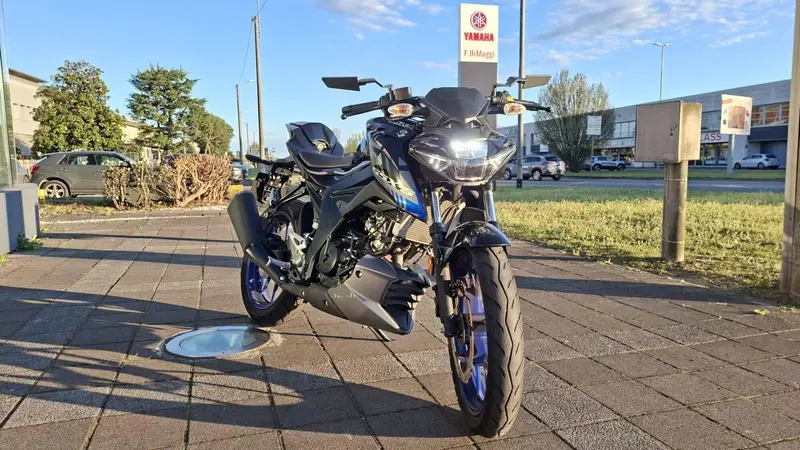 Suzuki GSX-S125 (2022 - 24) (2)