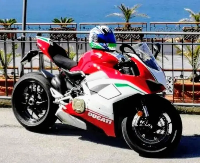 Ducati Panigale V4 1100 (2018 - 19) (6)