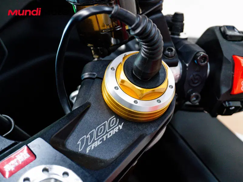 Aprilia RSV4 1100 Factory (2025 - 26) (29)