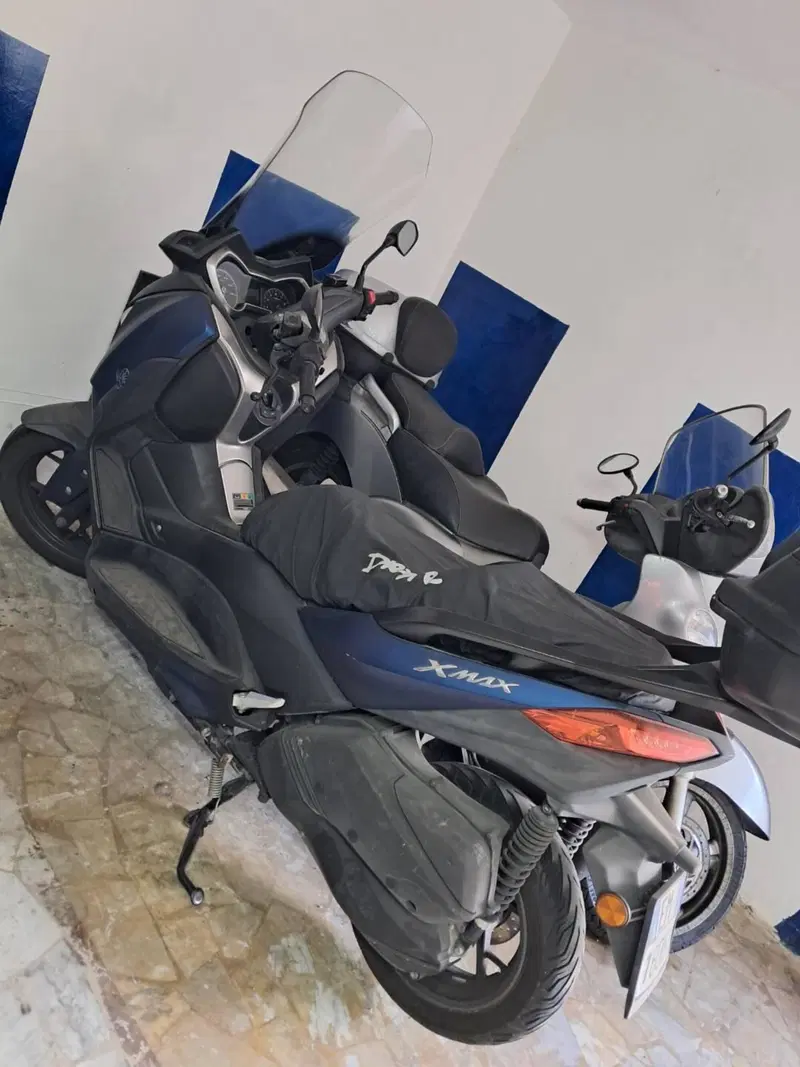 Yamaha X-Max 300 ABS (2017 - 20) (3)
