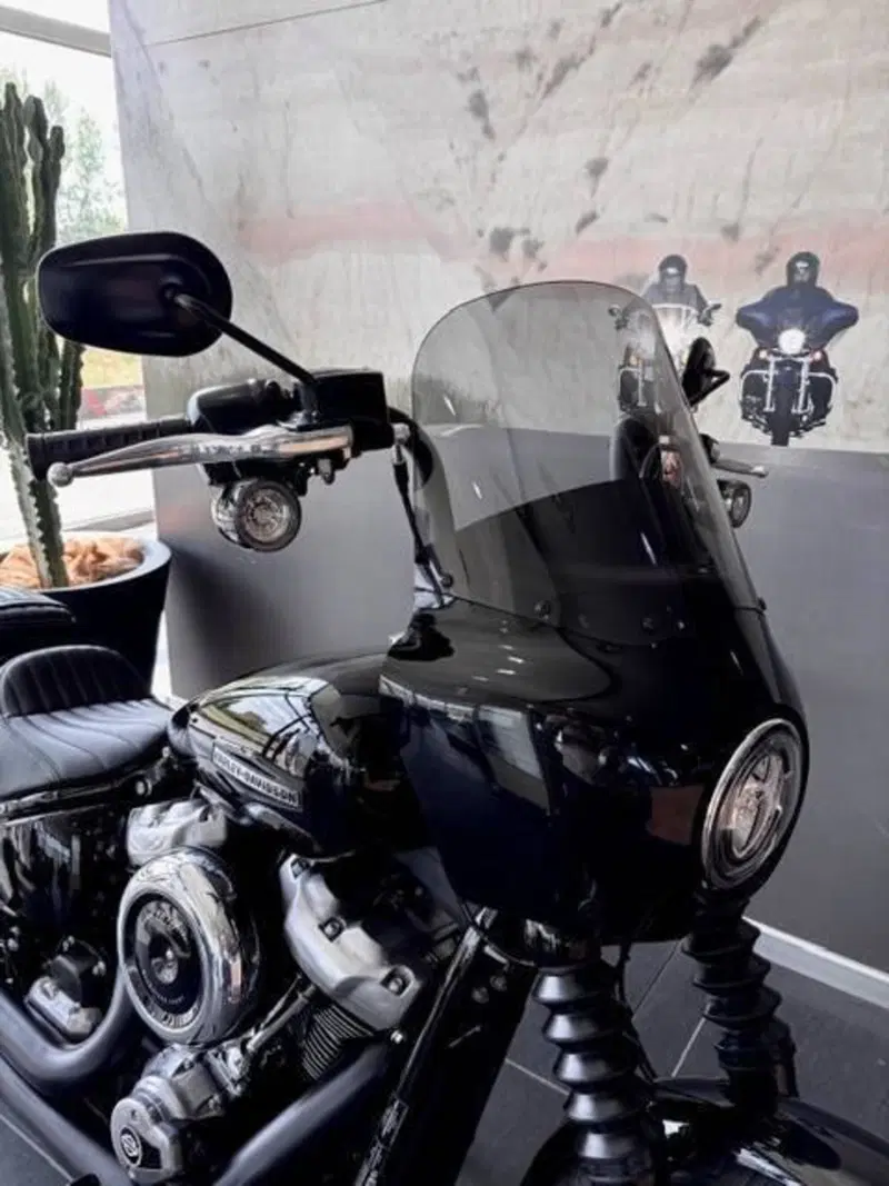 Harley-Davidson Street Bob 117 (2025 - 26) (3)