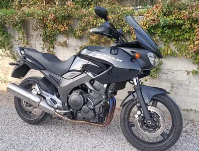 Yamaha TDM 900 ABS (2002 - 13) usata