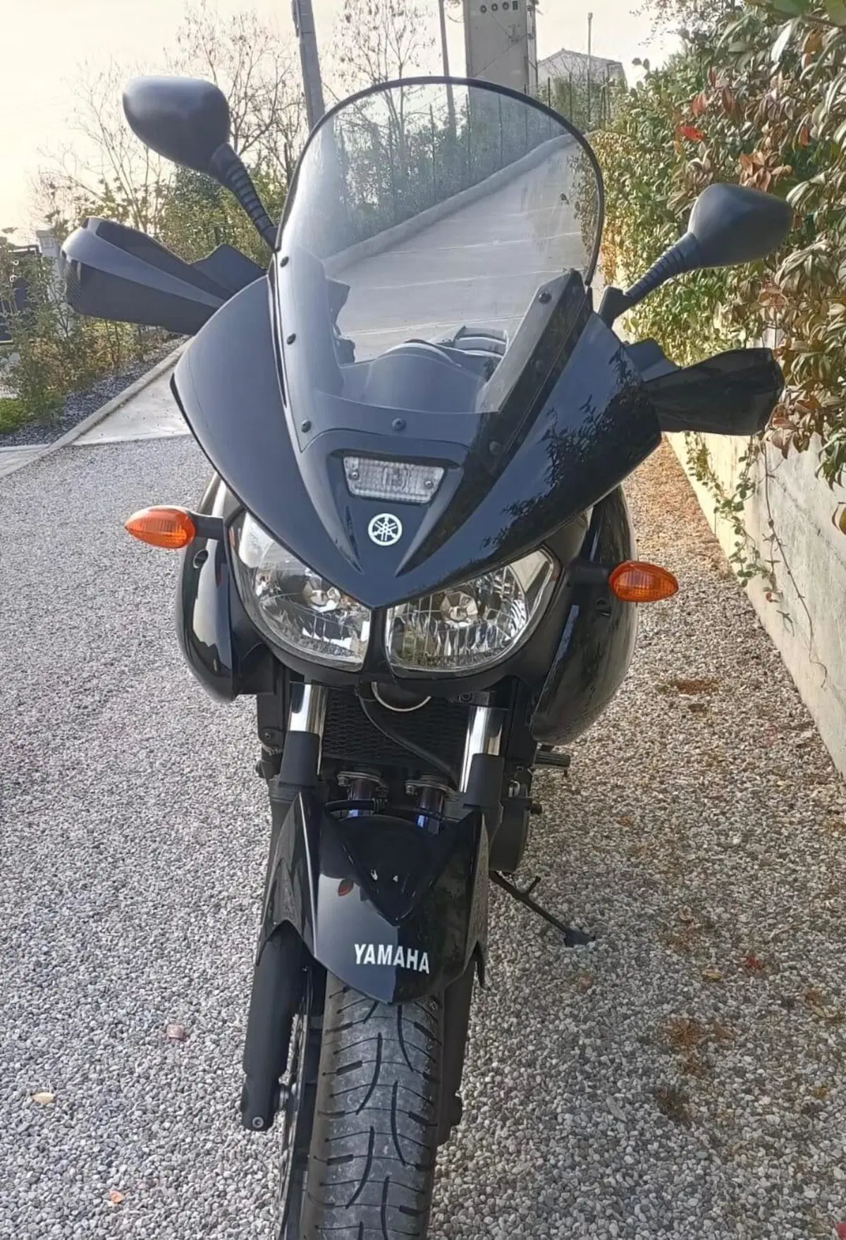 Yamaha TDM 900 ABS (2002 - 13) (4)