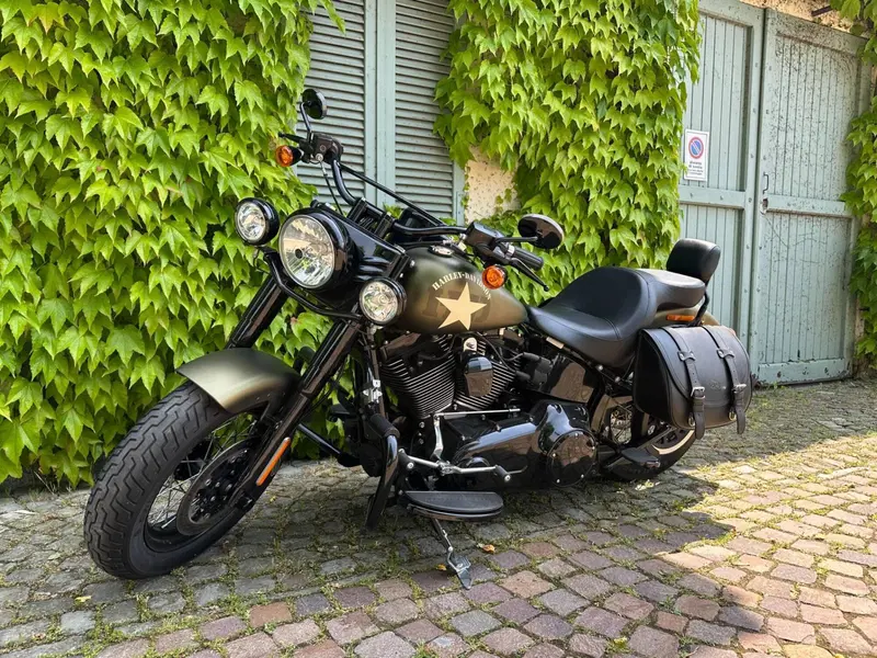 Harley-Davidson 1800 Slim S (2015 - 17) - FLS (2)