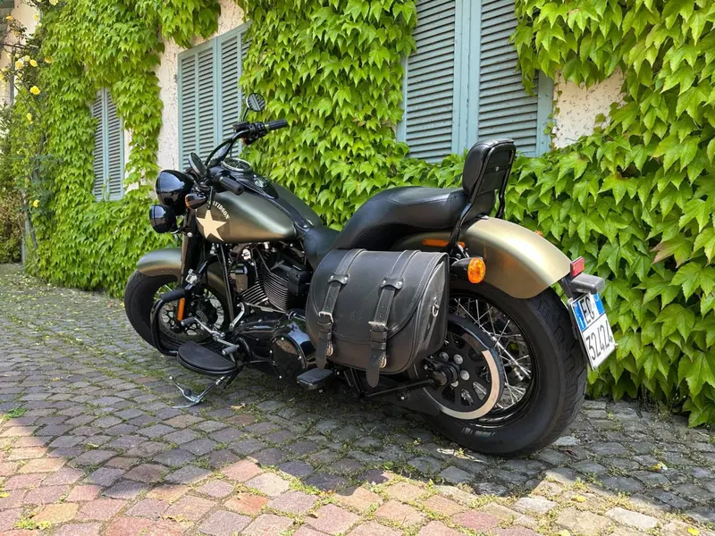 Harley-Davidson 1800 Slim S (2015 - 17) - FLS (3)