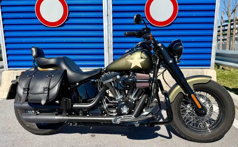 Harley-Davidson 1800 Slim S (2015 - 17) - FLS (4)