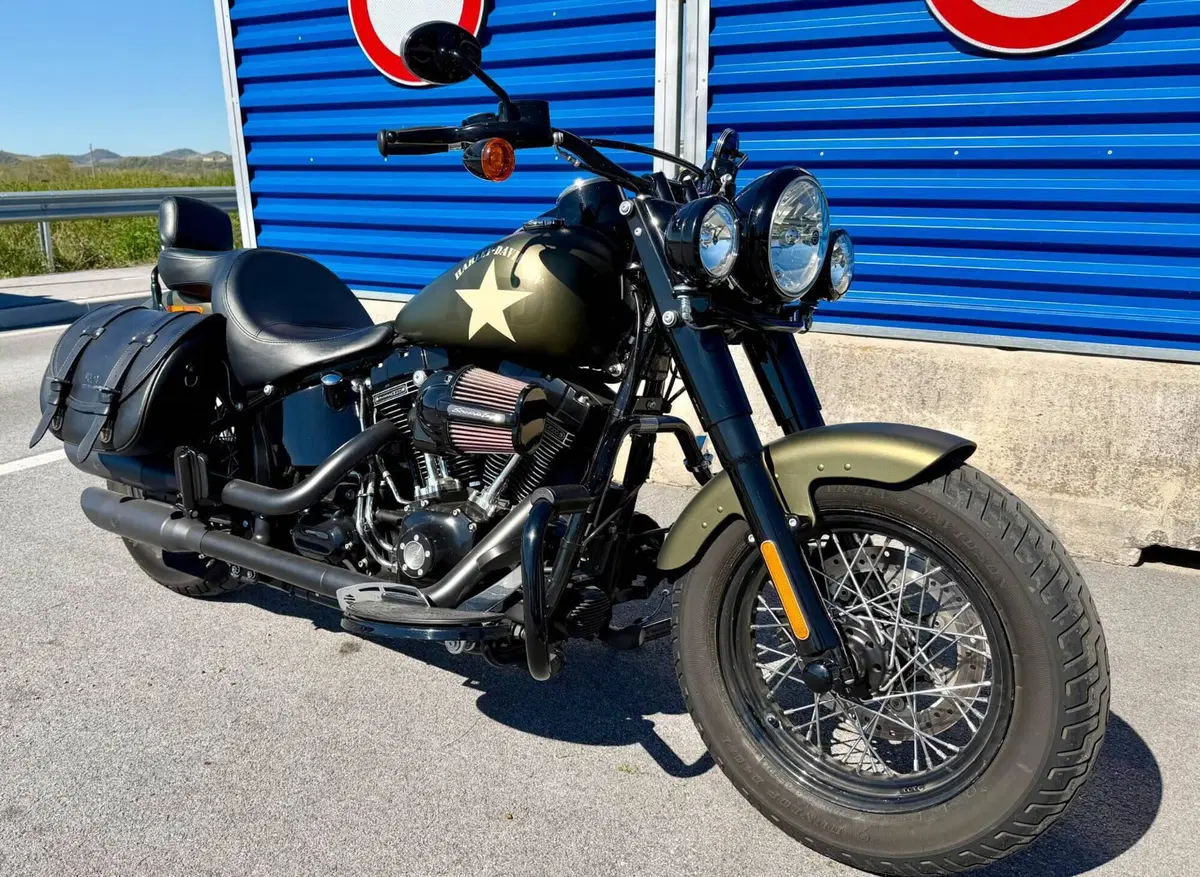 Harley-Davidson 1800 Slim S (2015 - 17) - FLS (5)