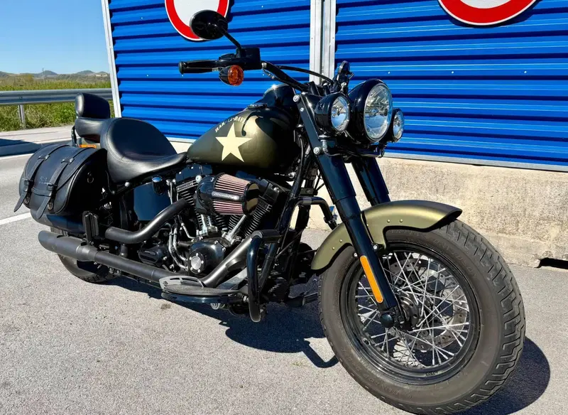 Harley-Davidson 1800 Slim S (2015 - 17) - FLS (5)