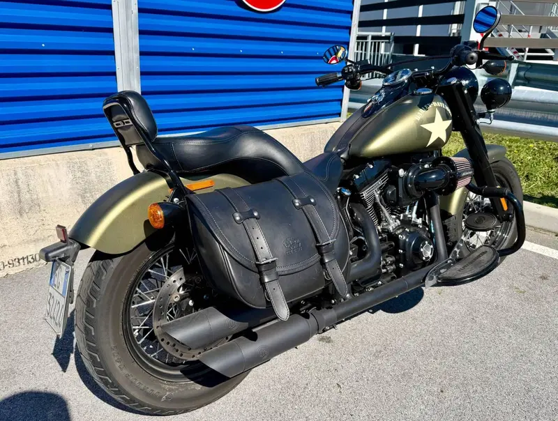 Harley-Davidson 1800 Slim S (2015 - 17) - FLS (6)