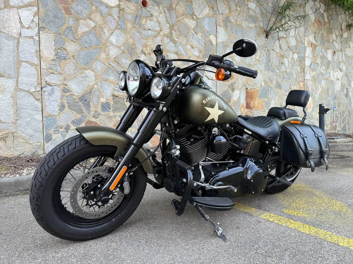 Harley-Davidson 1800 Slim S (2015 - 17) - FLS (7)