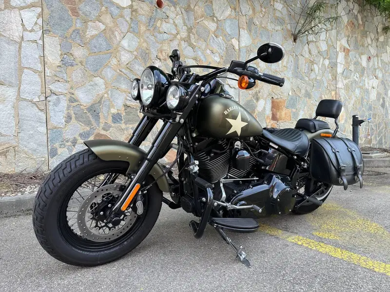 Harley-Davidson 1800 Slim S (2015 - 17) - FLS (7)