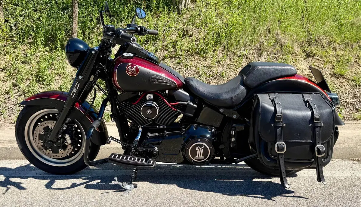 Harley-Davidson 1800 Fat Boy S (2015 - 17) - FLSTFS (5)