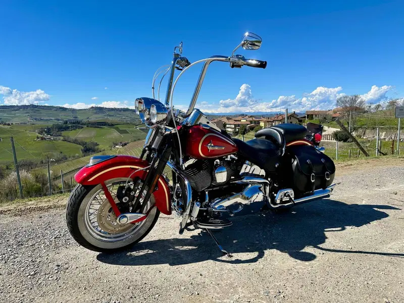 Harley-Davidson 1450 Springer Classic (2005) - FLSTSCI (2)