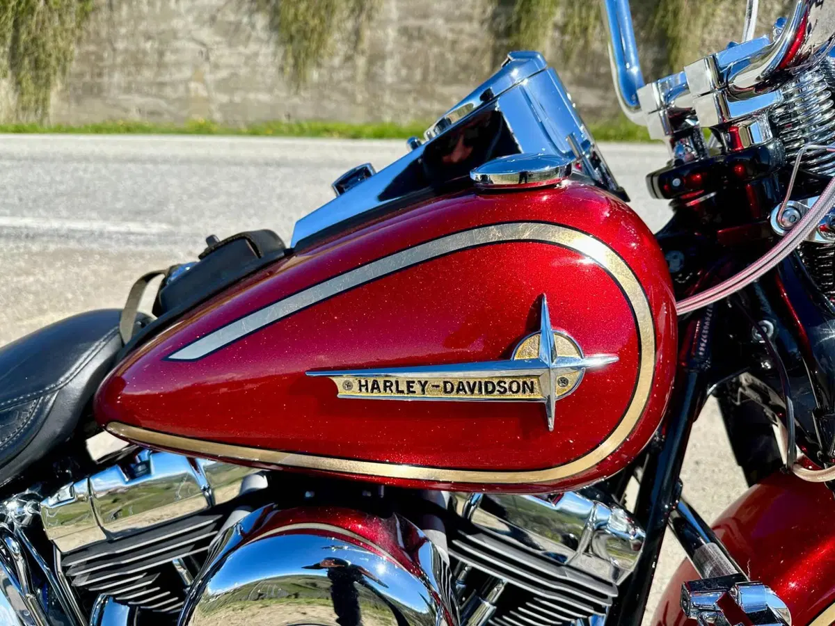 Harley-Davidson 1450 Springer Classic (2005) - FLSTSCI (4)