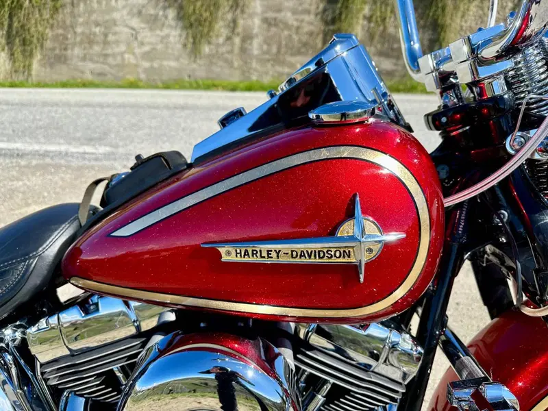 Harley-Davidson 1450 Springer Classic (2005) - FLSTSCI (3)