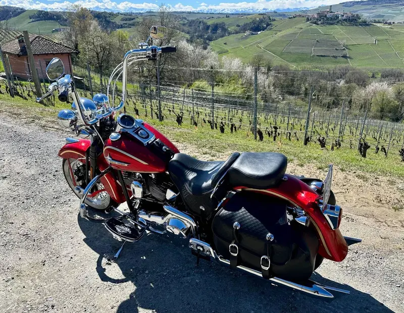 Harley-Davidson 1450 Springer Classic (2005) - FLSTSCI (5)