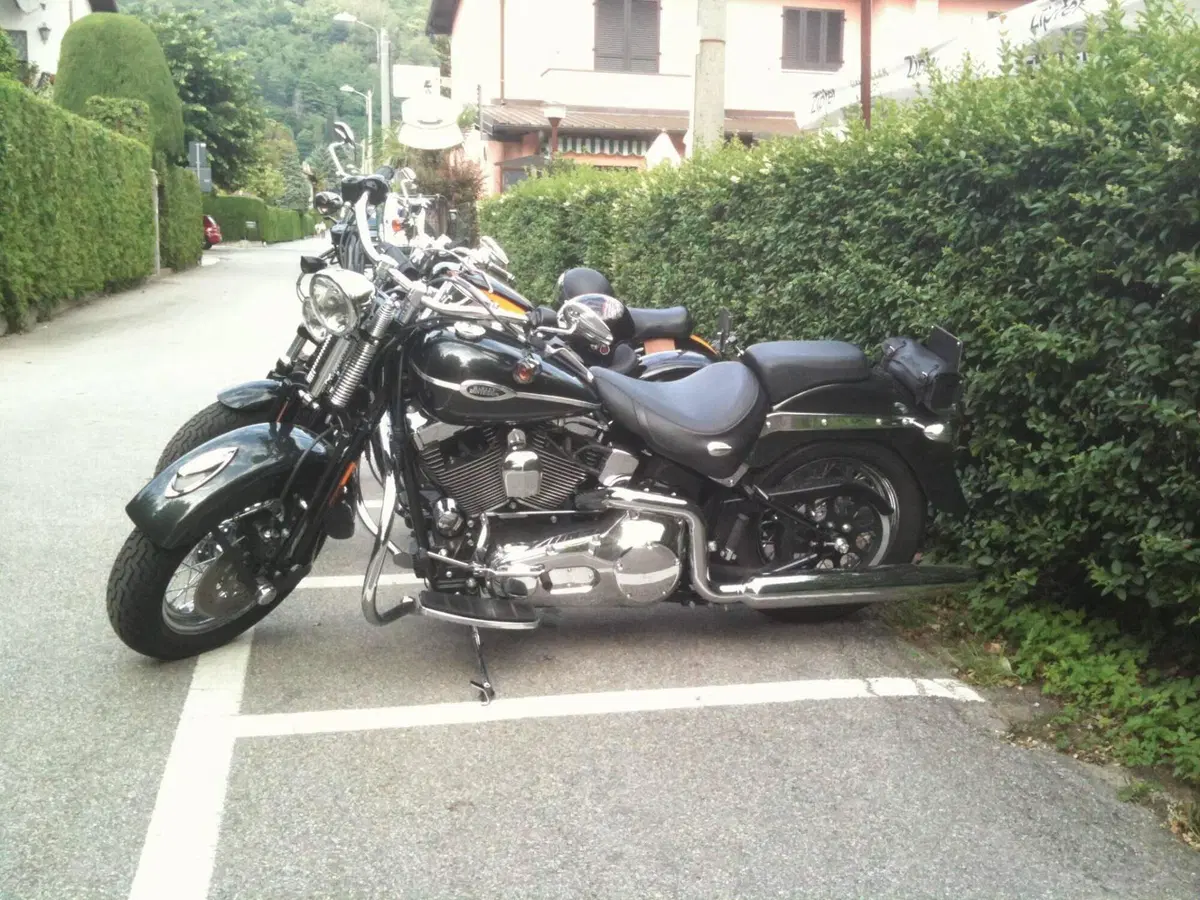 Harley-Davidson 1450 Springer Classic (2005) - FLSTSCI (7)
