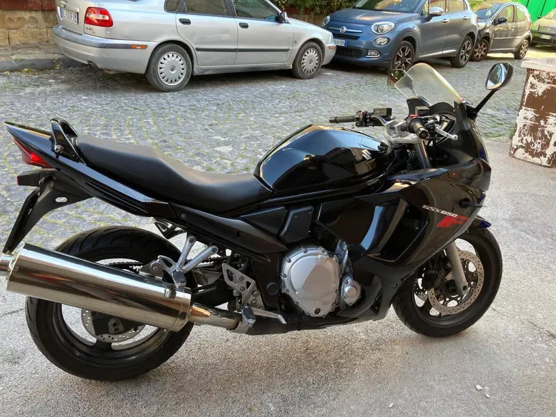 Suzuki GSX 650 F (2007 - 15) (2)